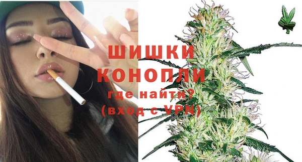 стаф Костерёво