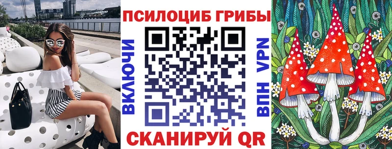 ОМГ ОМГ ссылки  Ессентуки  Галлюциногенные грибы MAGIC MUSHROOMS  цены  